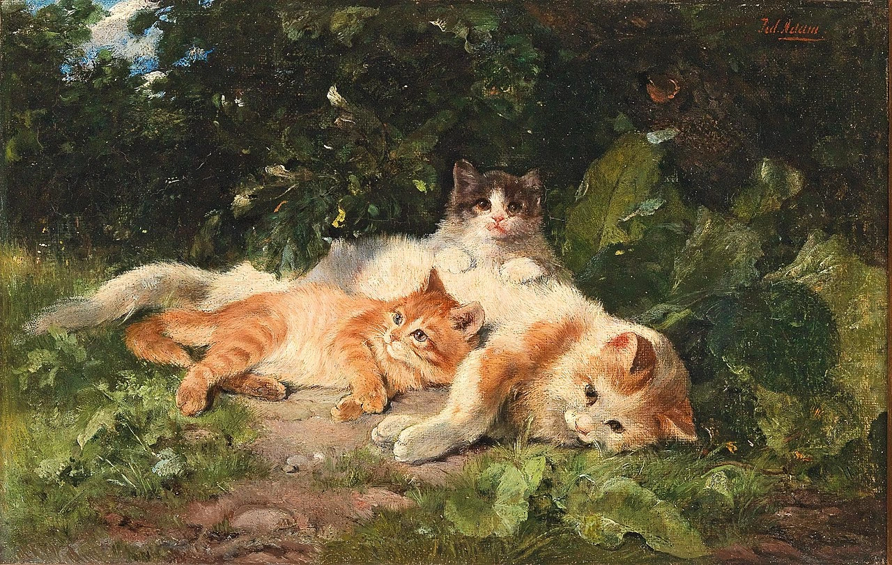 Gatto con i suoi gattini